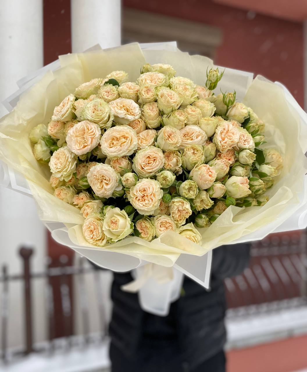 25 веток пионовидных кустовых роз Джентл (Gentle)