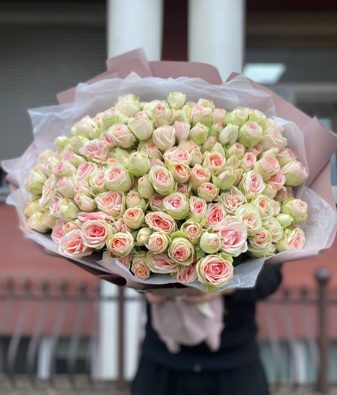 25 веток пионовидных кустовых роз Кристи (Kristine)