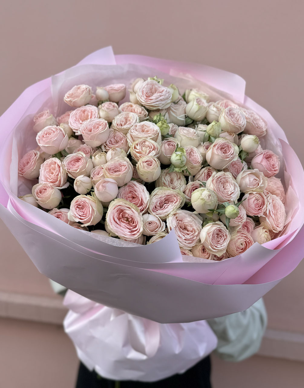 25 веток пионовидных кустовых роз Свит Жизель (Sweet Giselle)