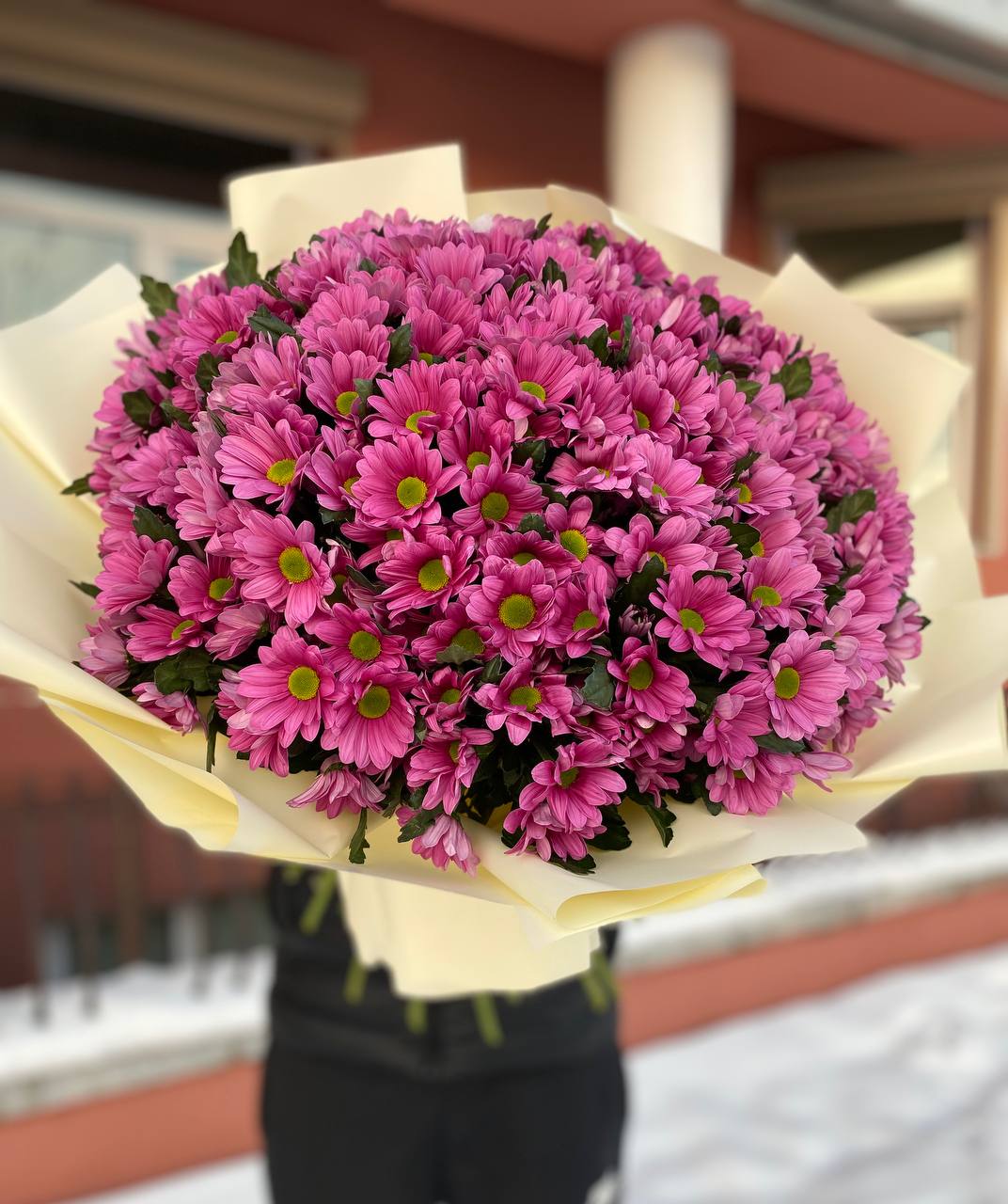 301 малиновая ромашка