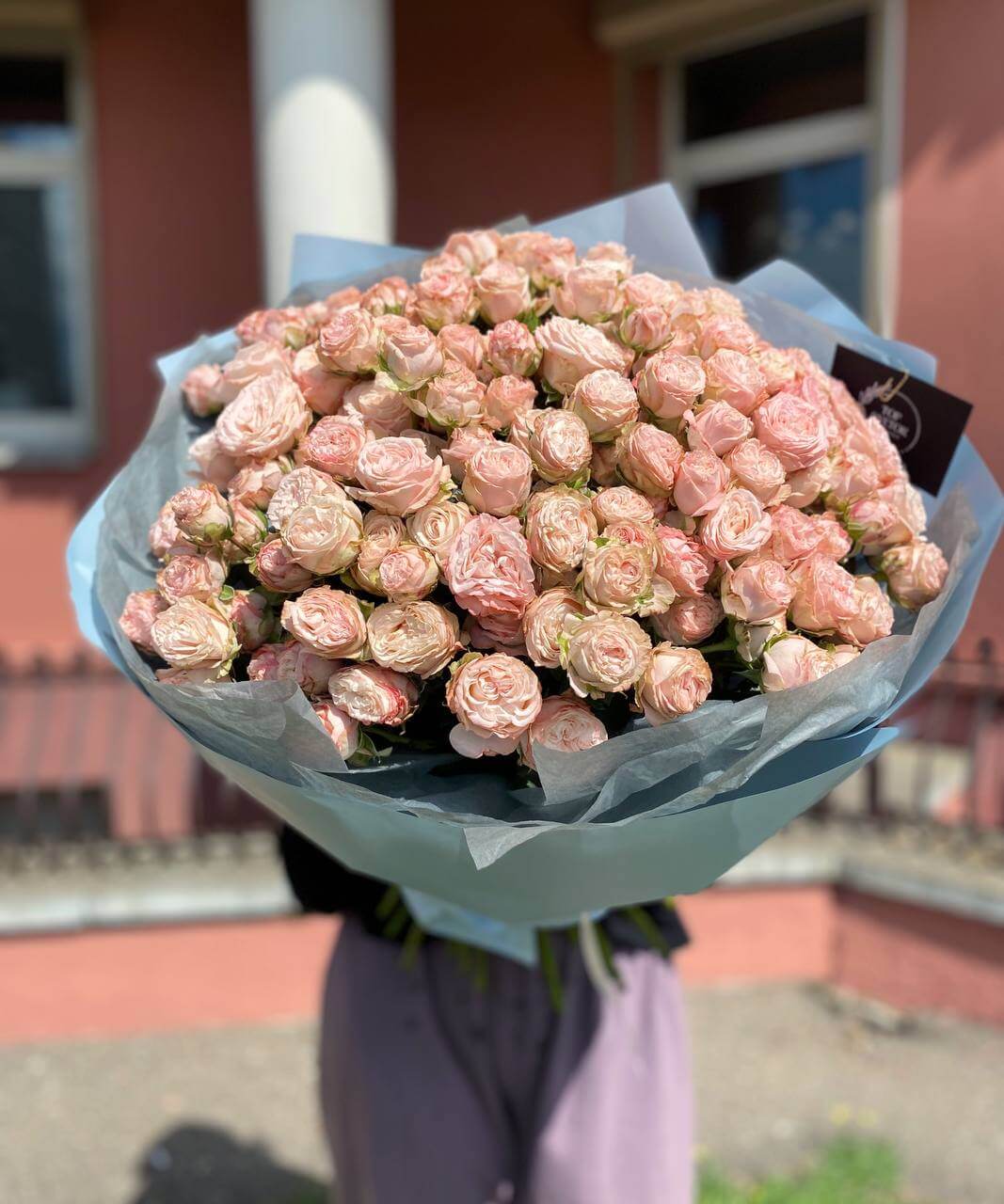 35 веток пионовидных кустовых роз Бомбастик (Bombastic)