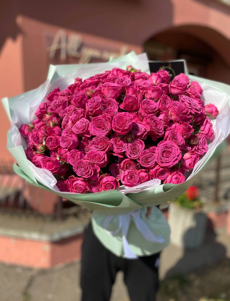 35 веток пионовидных кустовых роз Классик Сенсейшл (Classic Sensation)