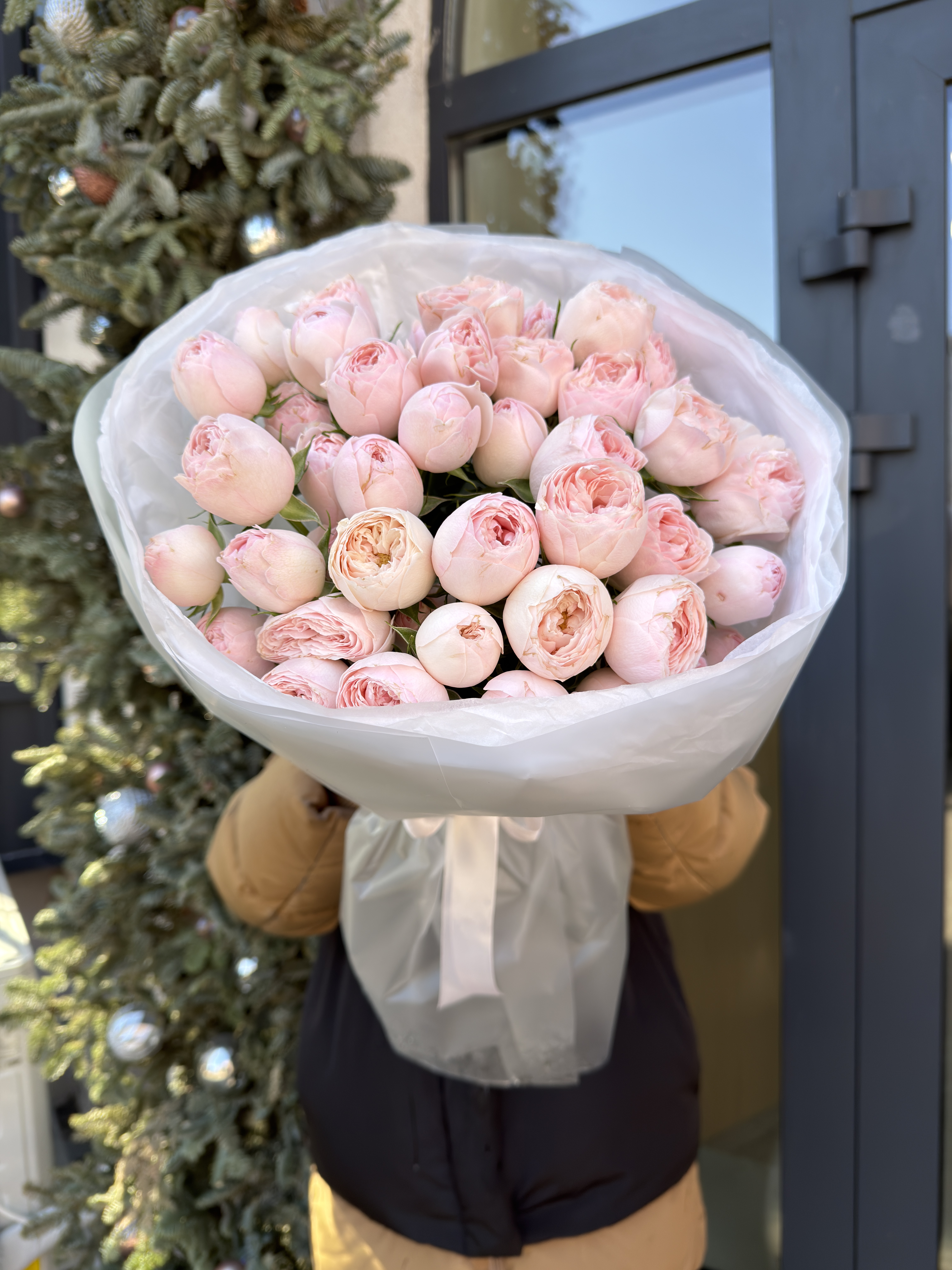 11 веток пионовидных кустовых роз Мэнсфилд Парк (Mansfield Park)