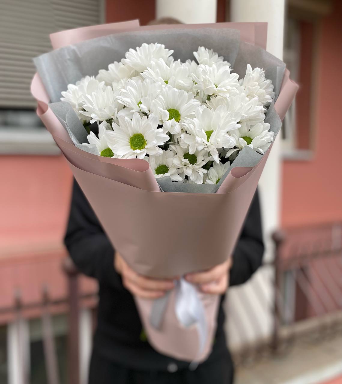 51 белая ромашка