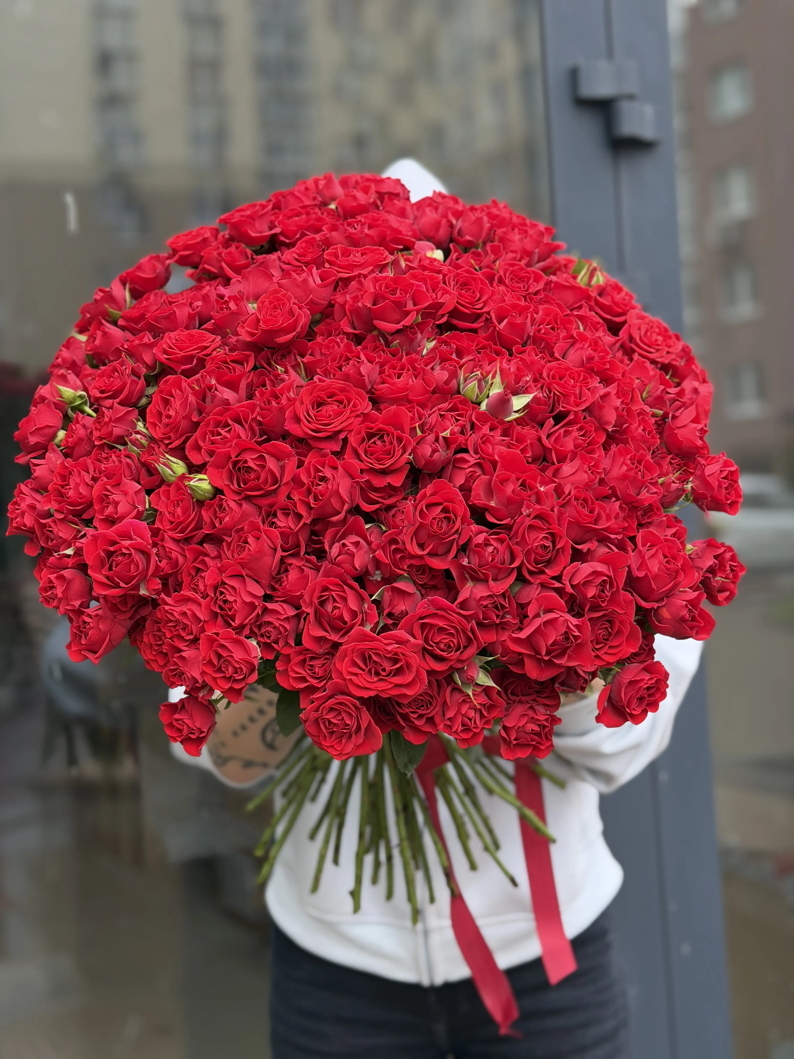 51 ветка кустовых роз Рубикон (Rubicon)