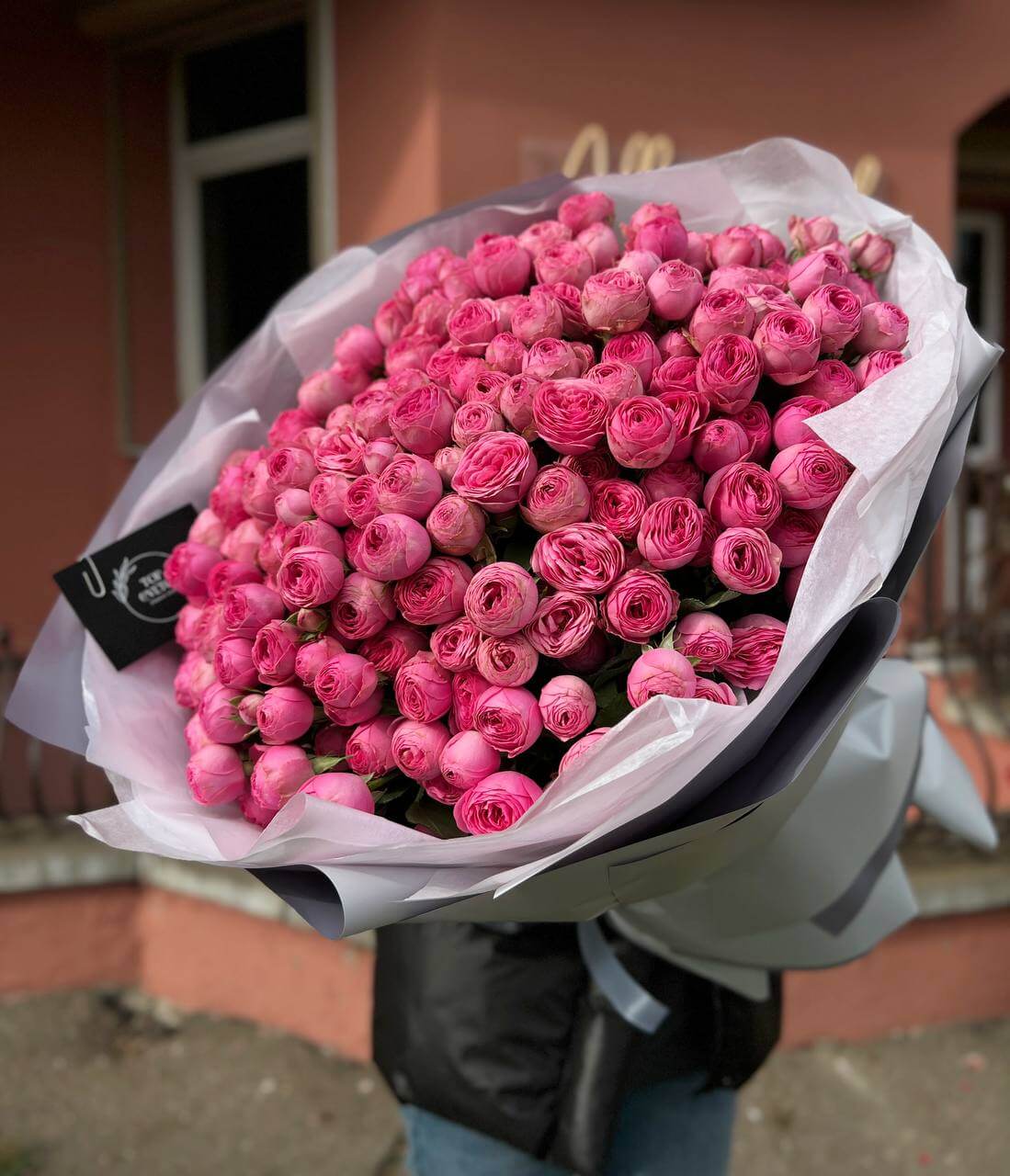 51 ветка пионовидных кустовых роз Жизель (Giselle)