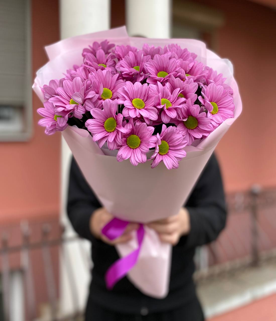 51 малиновая ромашка