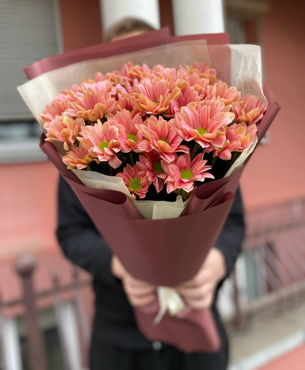 51 медовая ромашка