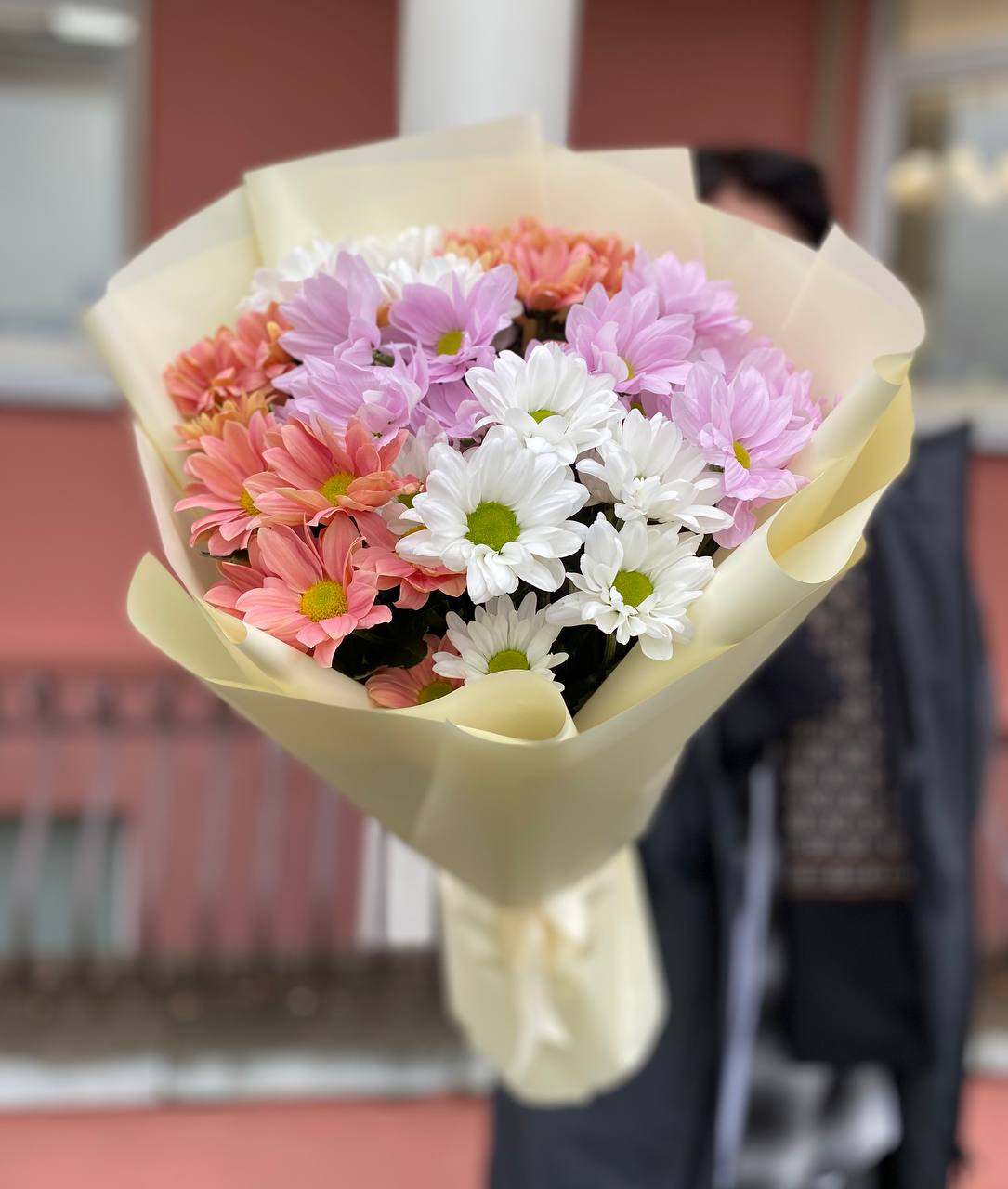 51 микс ромашка