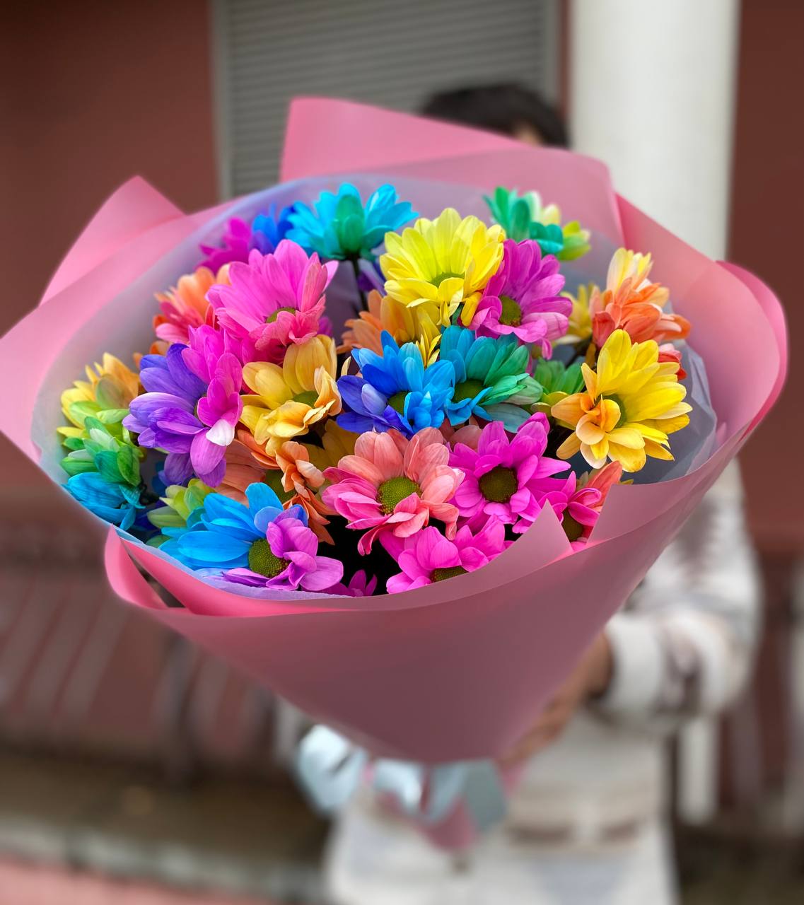 51 радужная ромашка