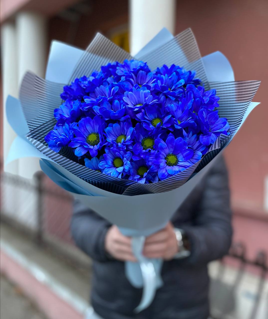 51 синяя ромашка