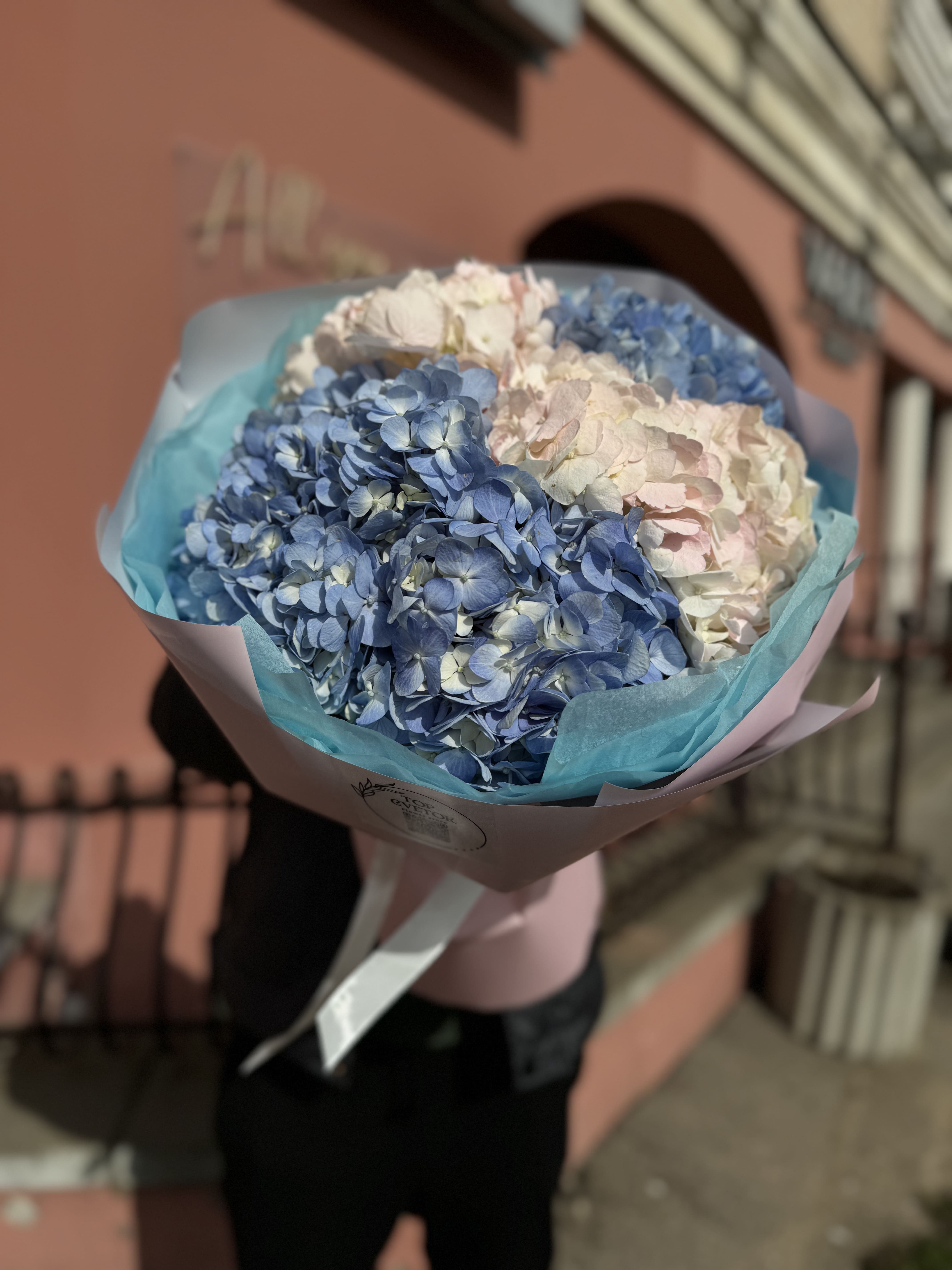 5 гортензий Микс