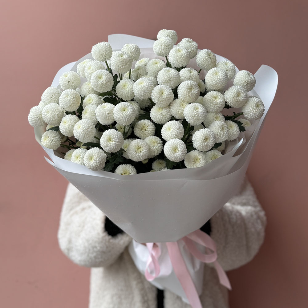 7 веток белой хризантемы Ньютон