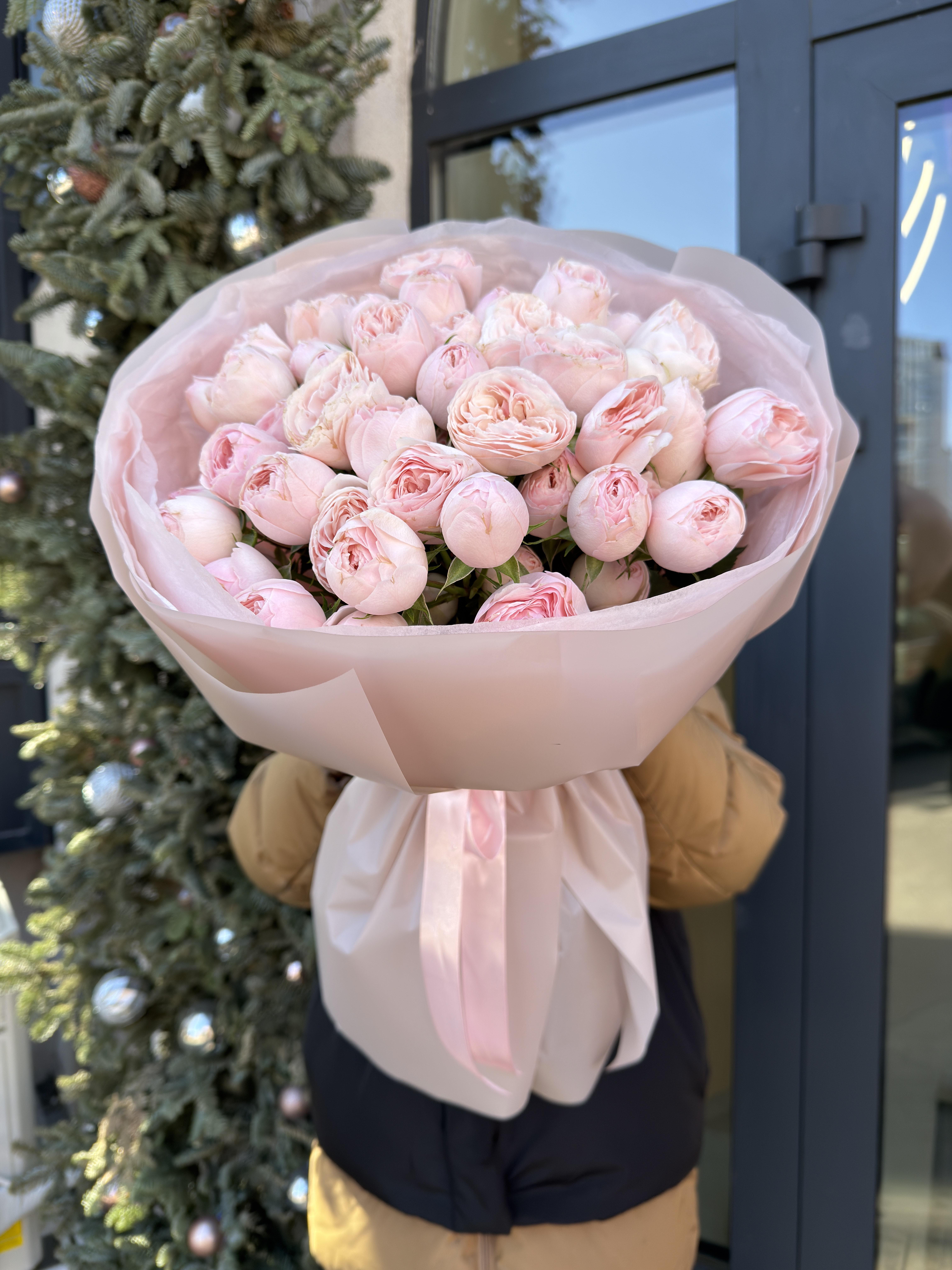 15 веток пионовидных кустовых роз Мэнсфилд Парк (Mansfield Park)