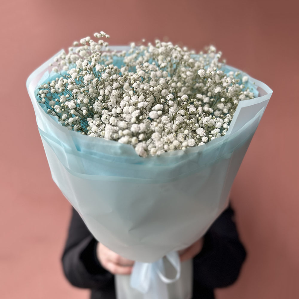 9 веток белой гипсофилы