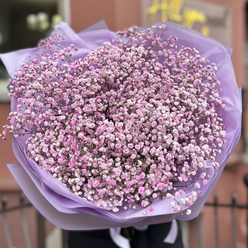 9 веток розовой гипсофилы