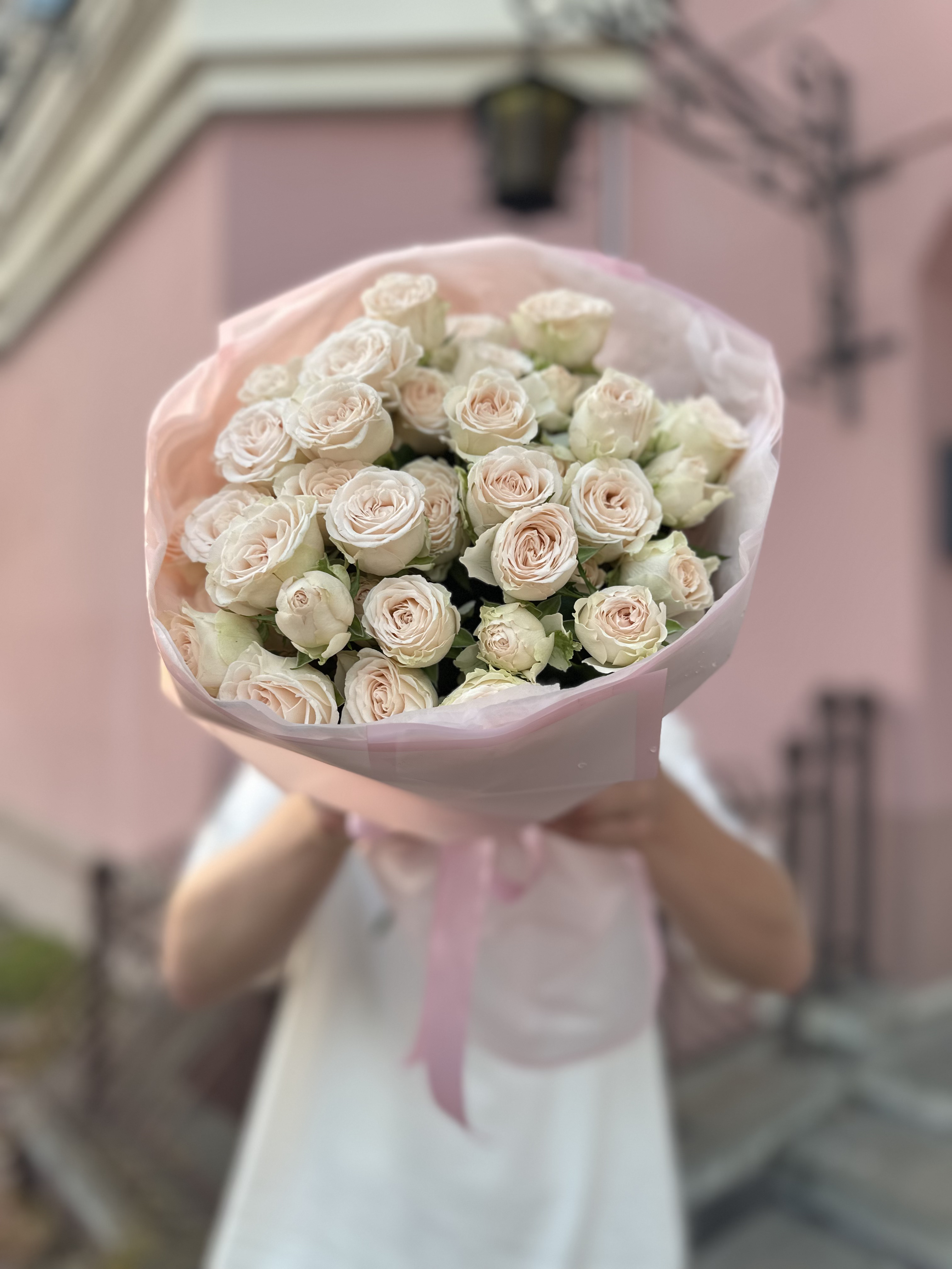 7 веток пионовидных кустовых роз София (Sofia)