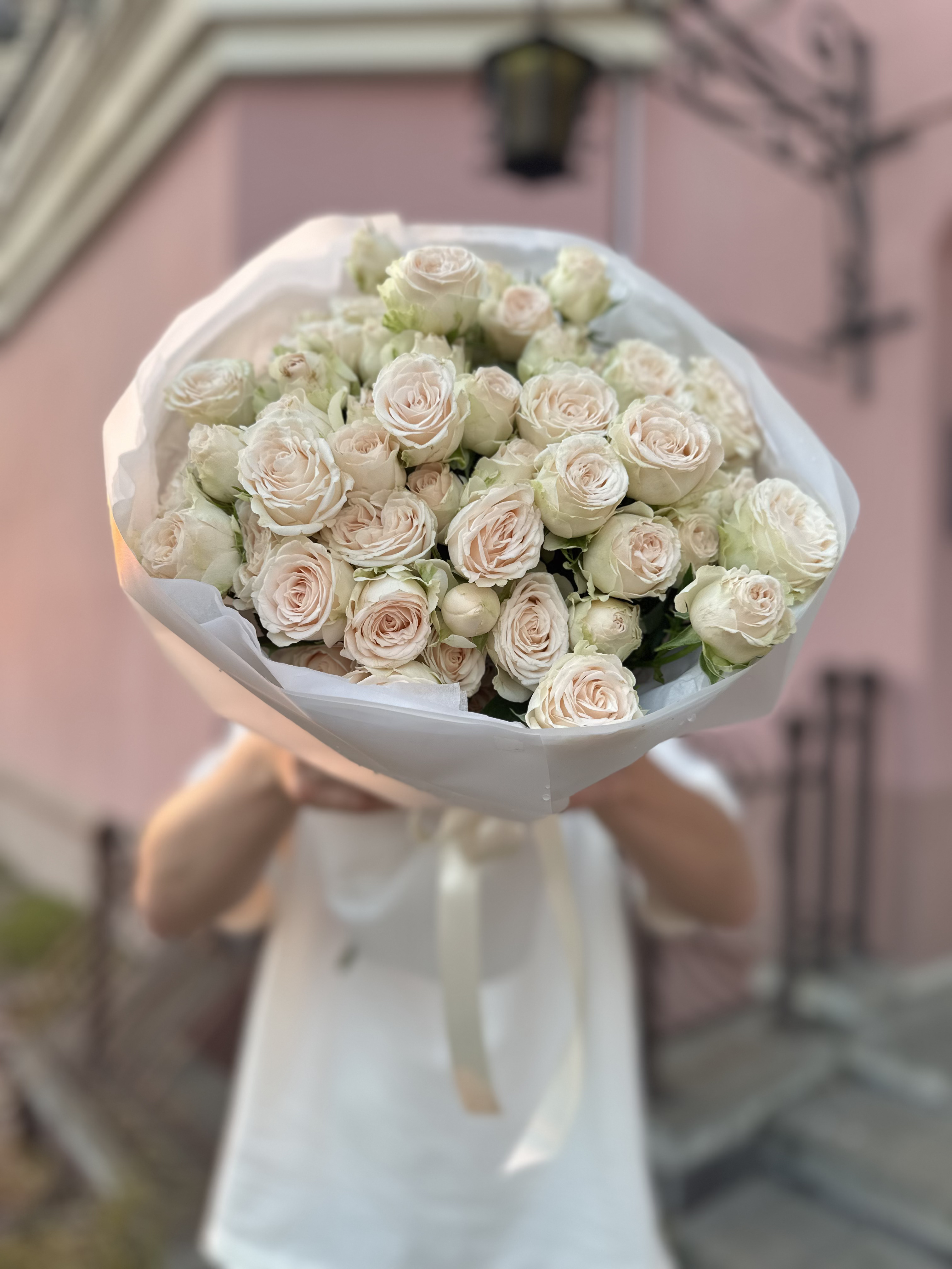 11 веток пионовидных кустовых роз София (Sofia)