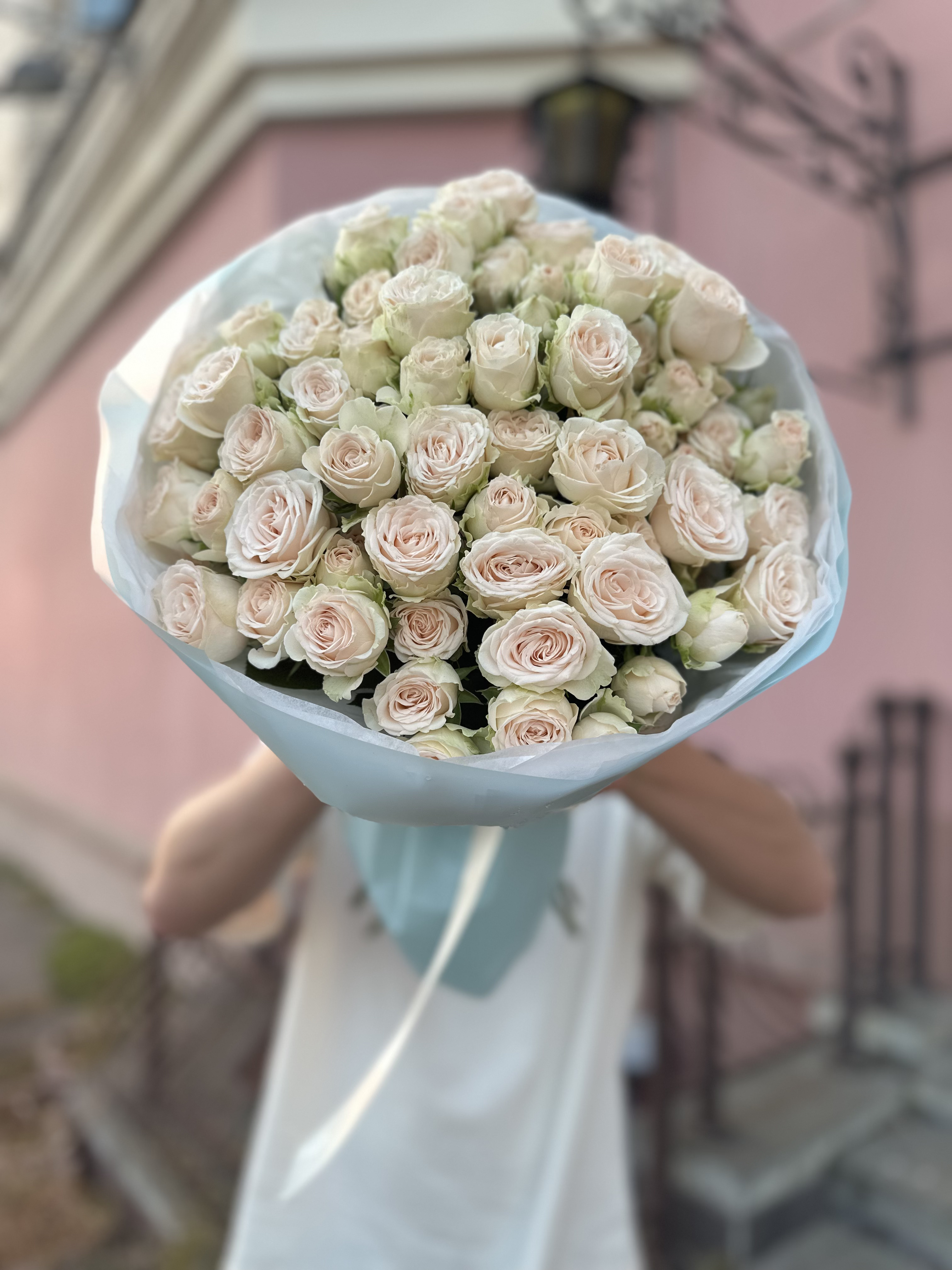 15 веток пионовидных кустовых роз София (Sofia)