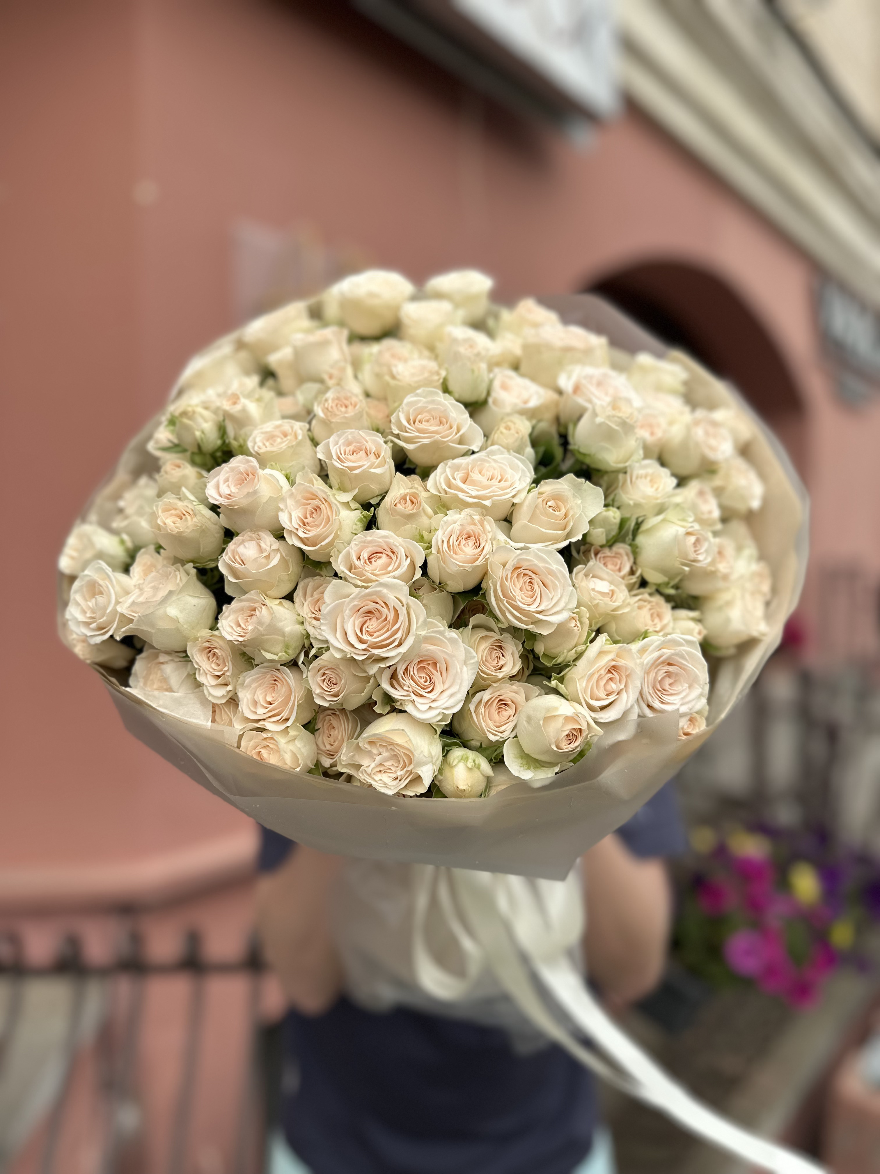 25 веток пионовидных кустовых роз София (Sofia)