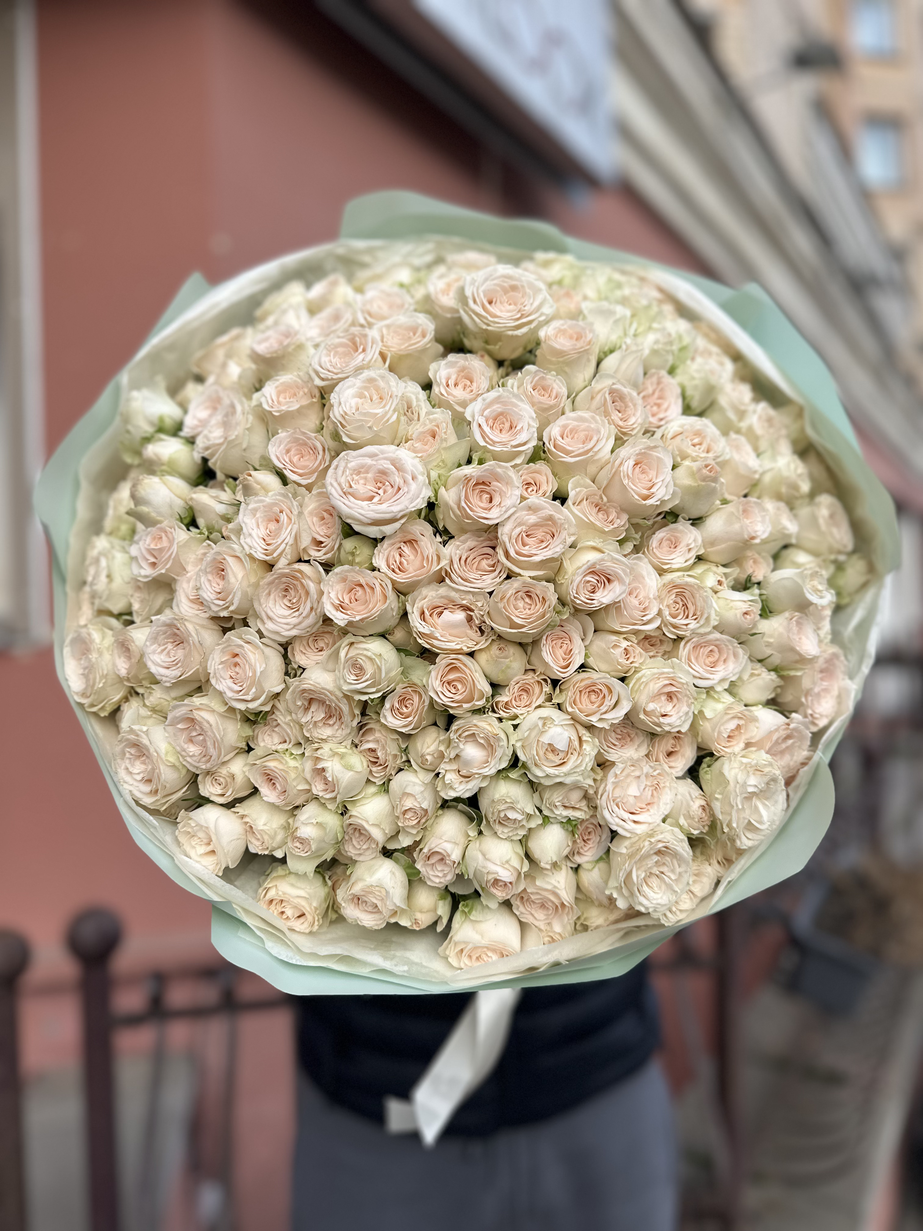 51 ветка пионовидных кустовых роз София (Sofia)