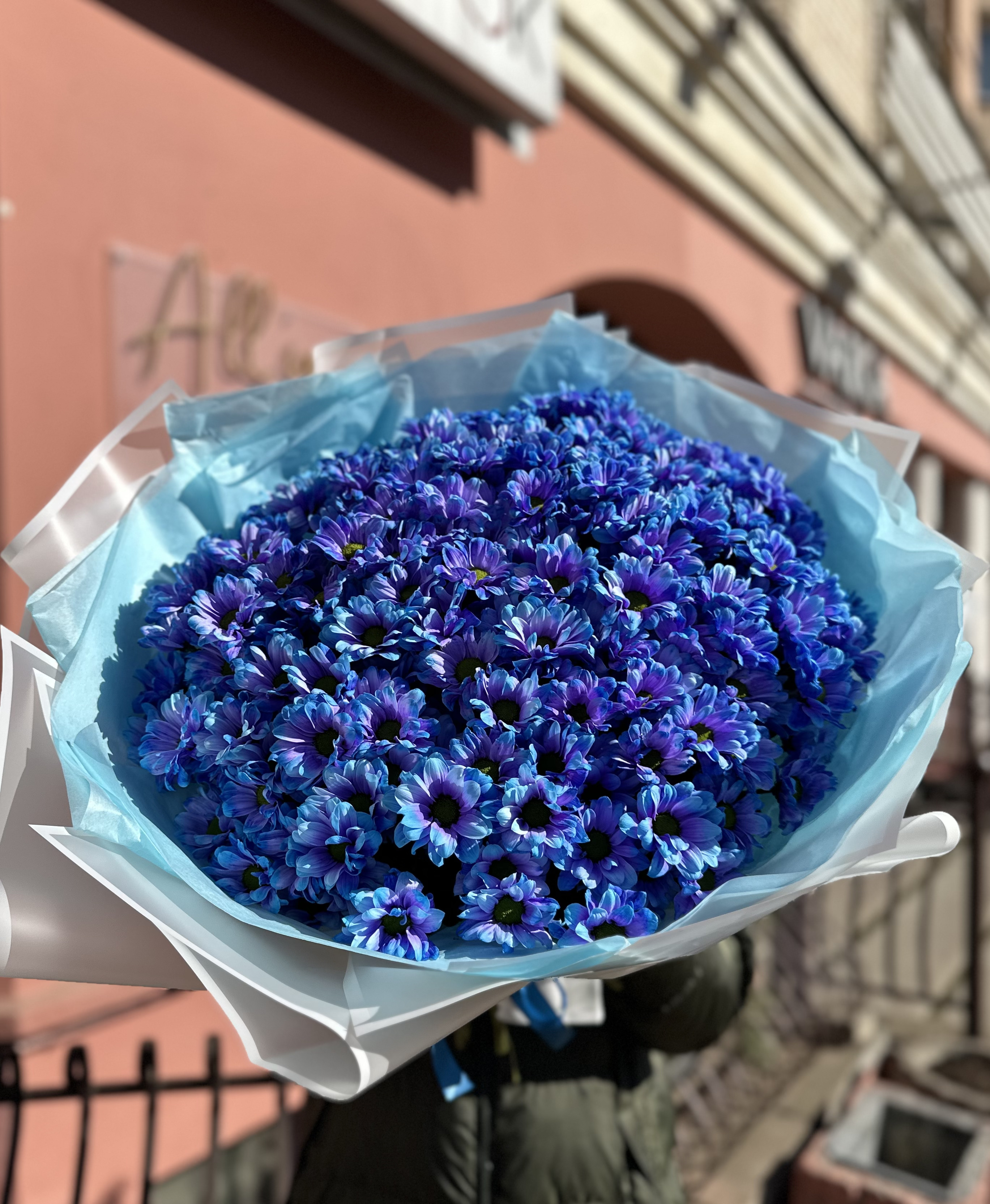 301 синяя ромашка