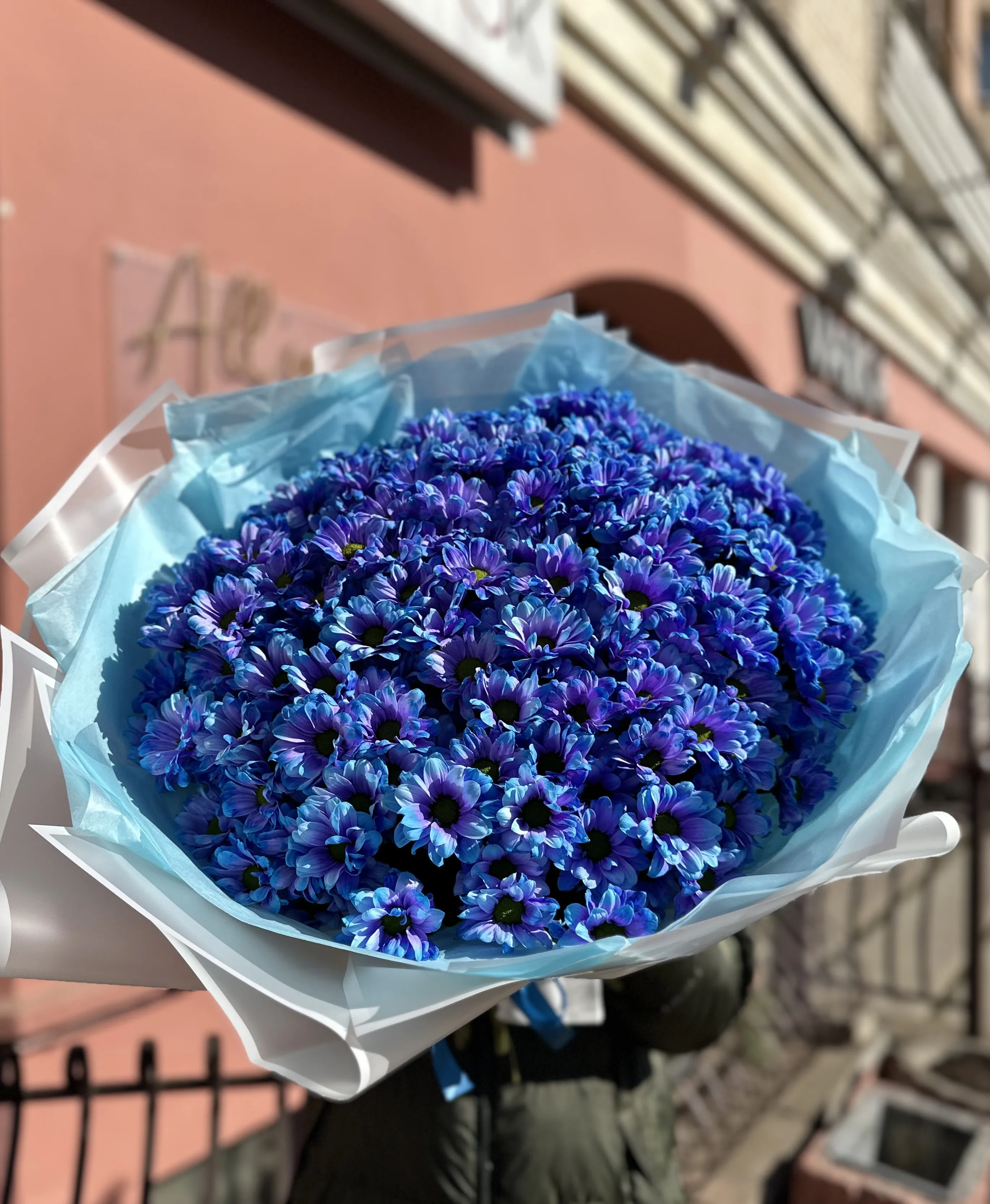 301 синяя ромашка