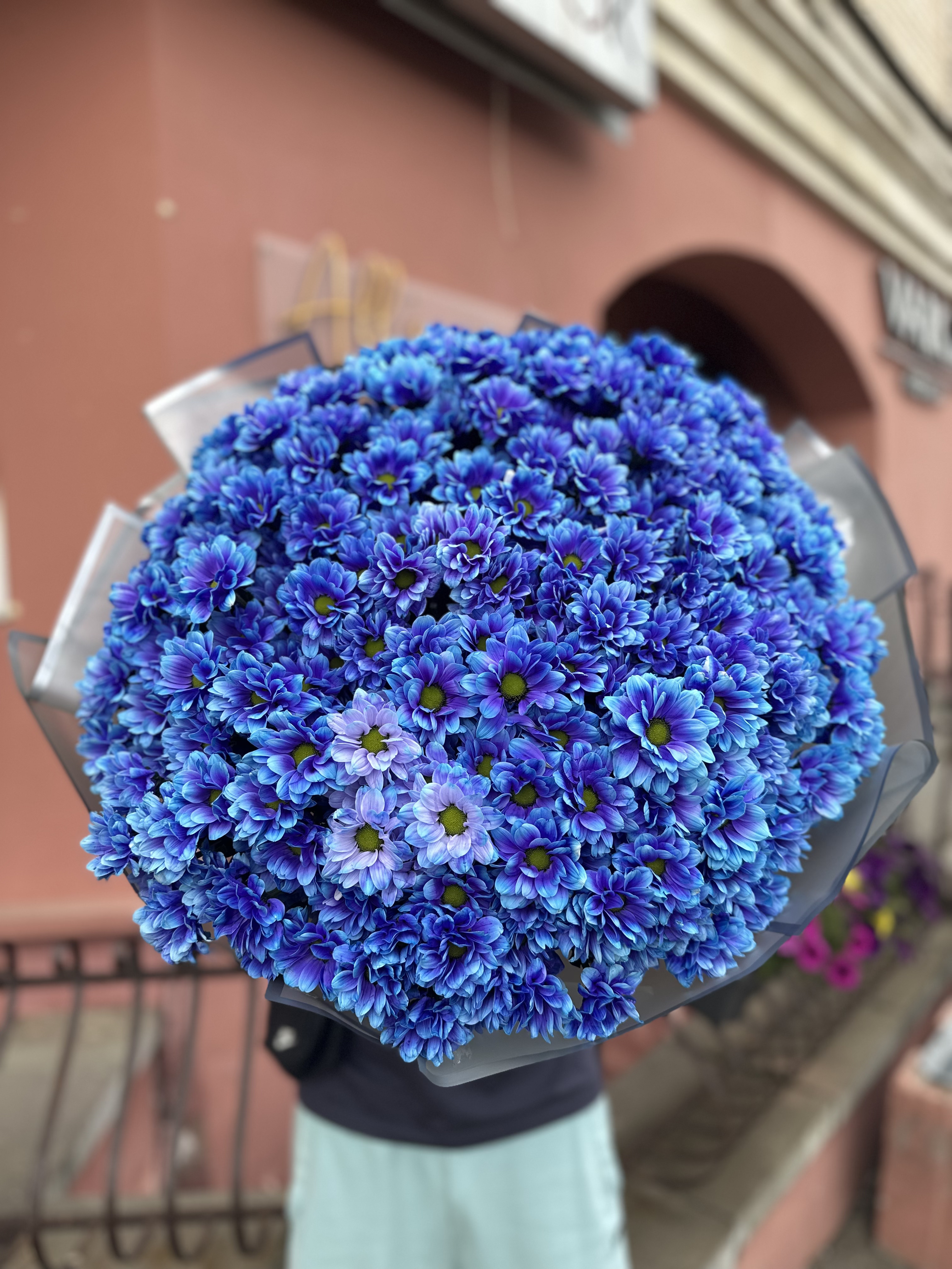 351 синяя ромашка