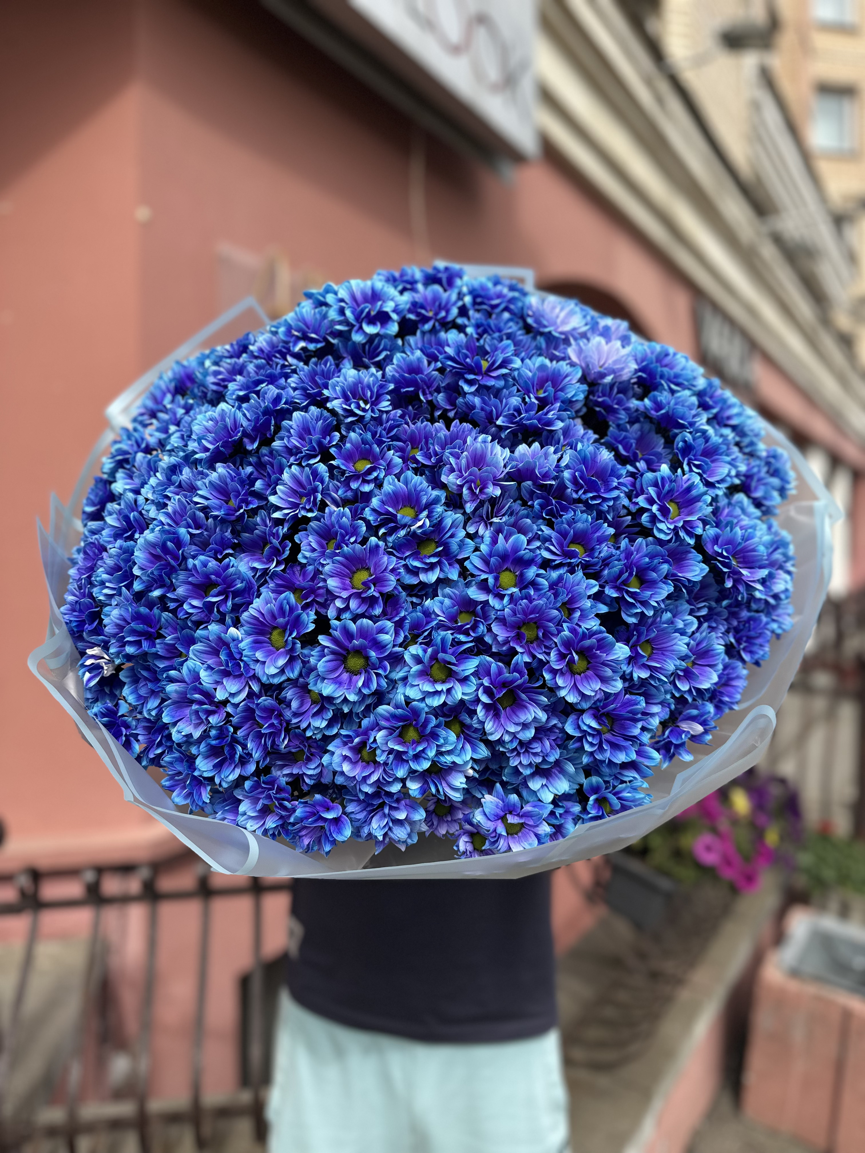 501 синяя ромашка