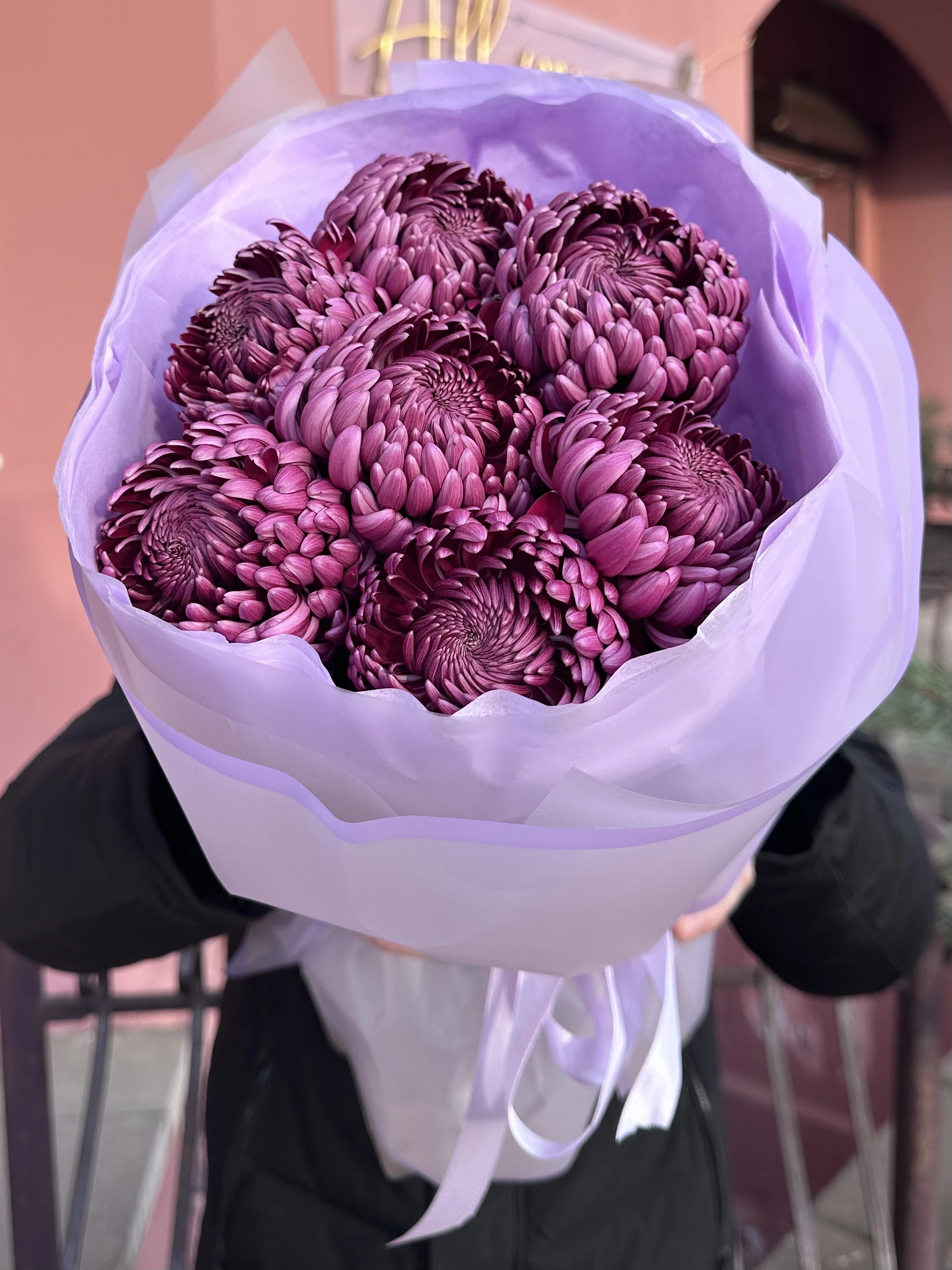 7 шт. Хризантем Бигуди