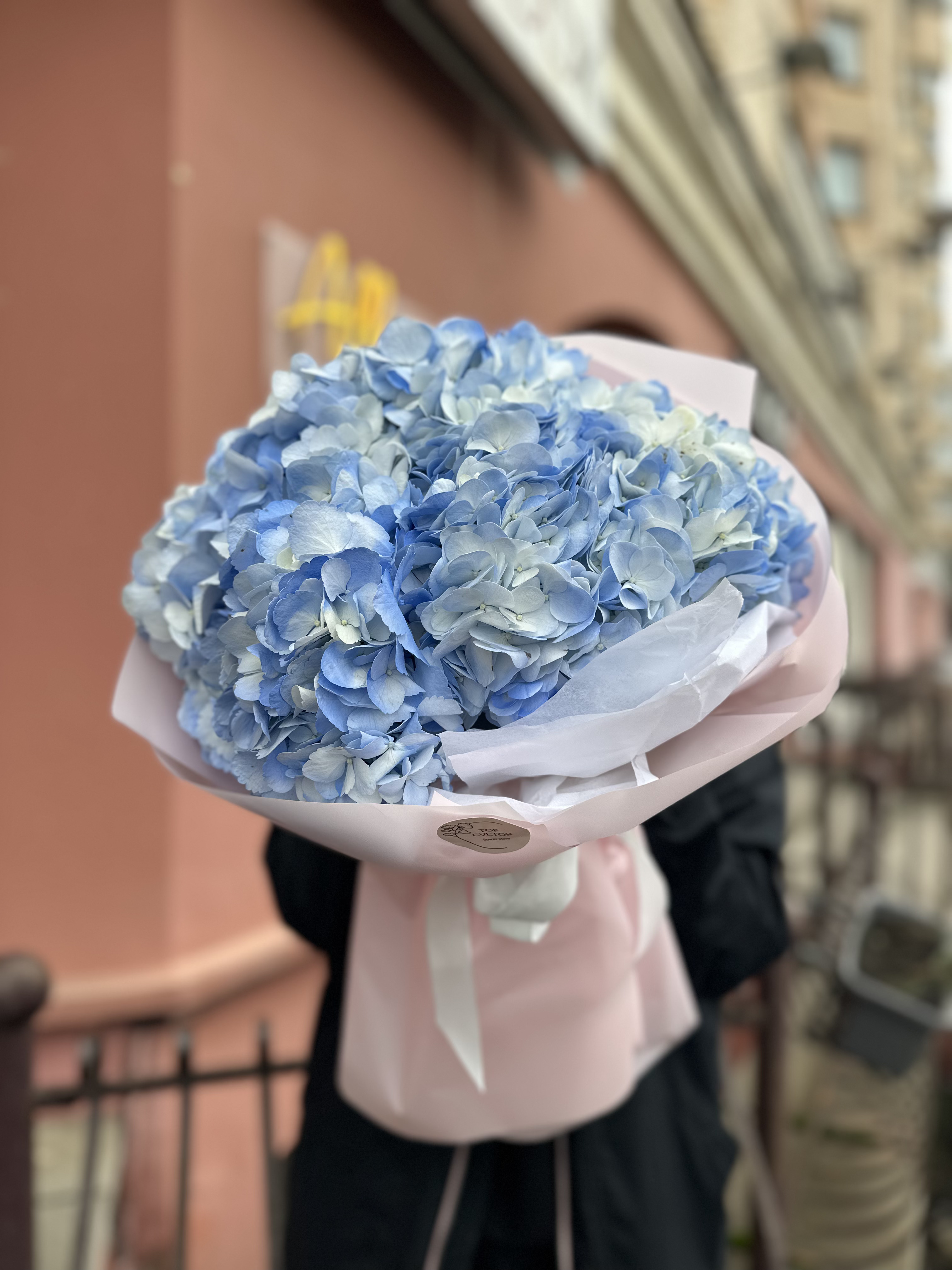 5 голубых гортензий