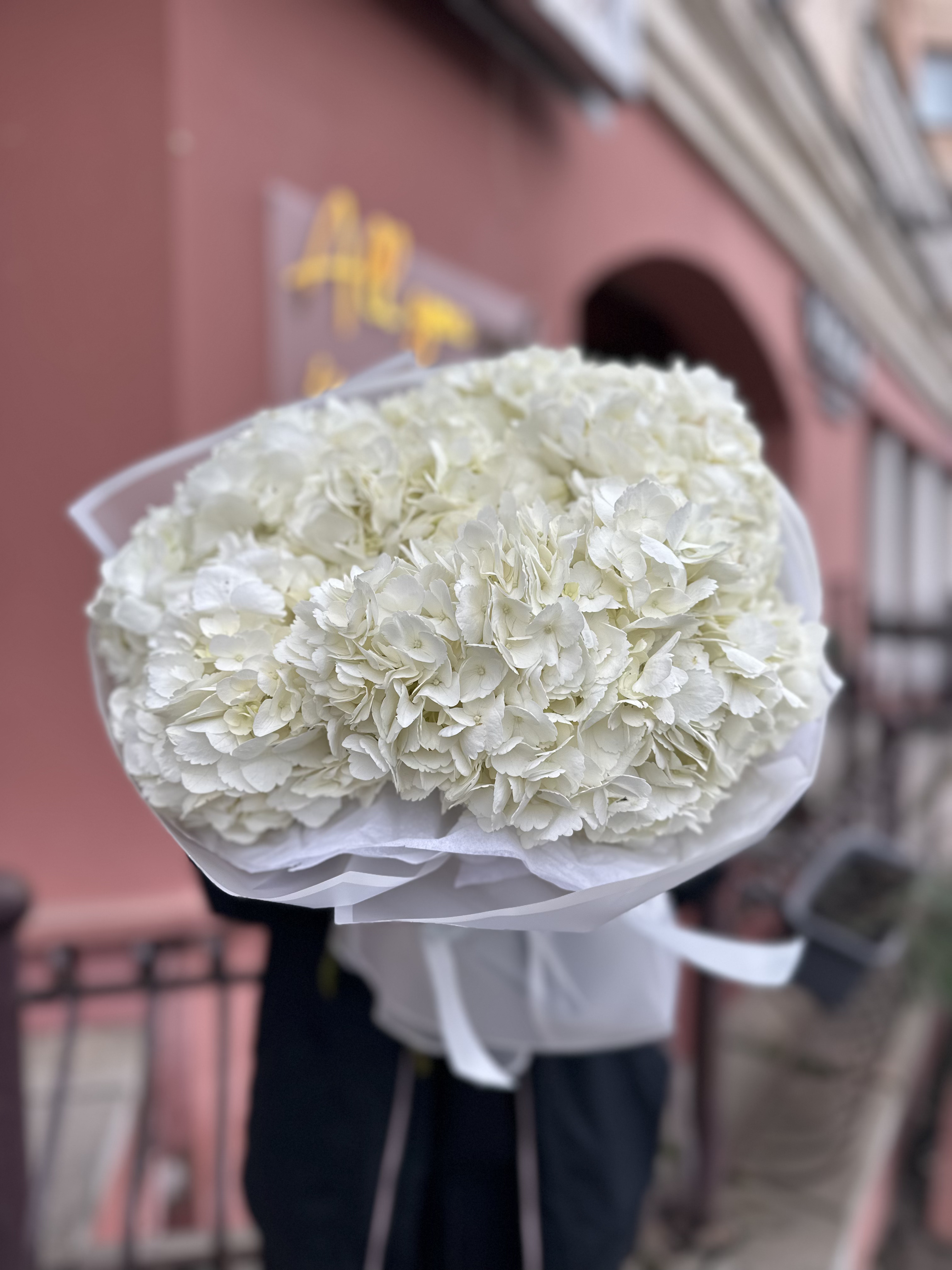 7 белых гортензий