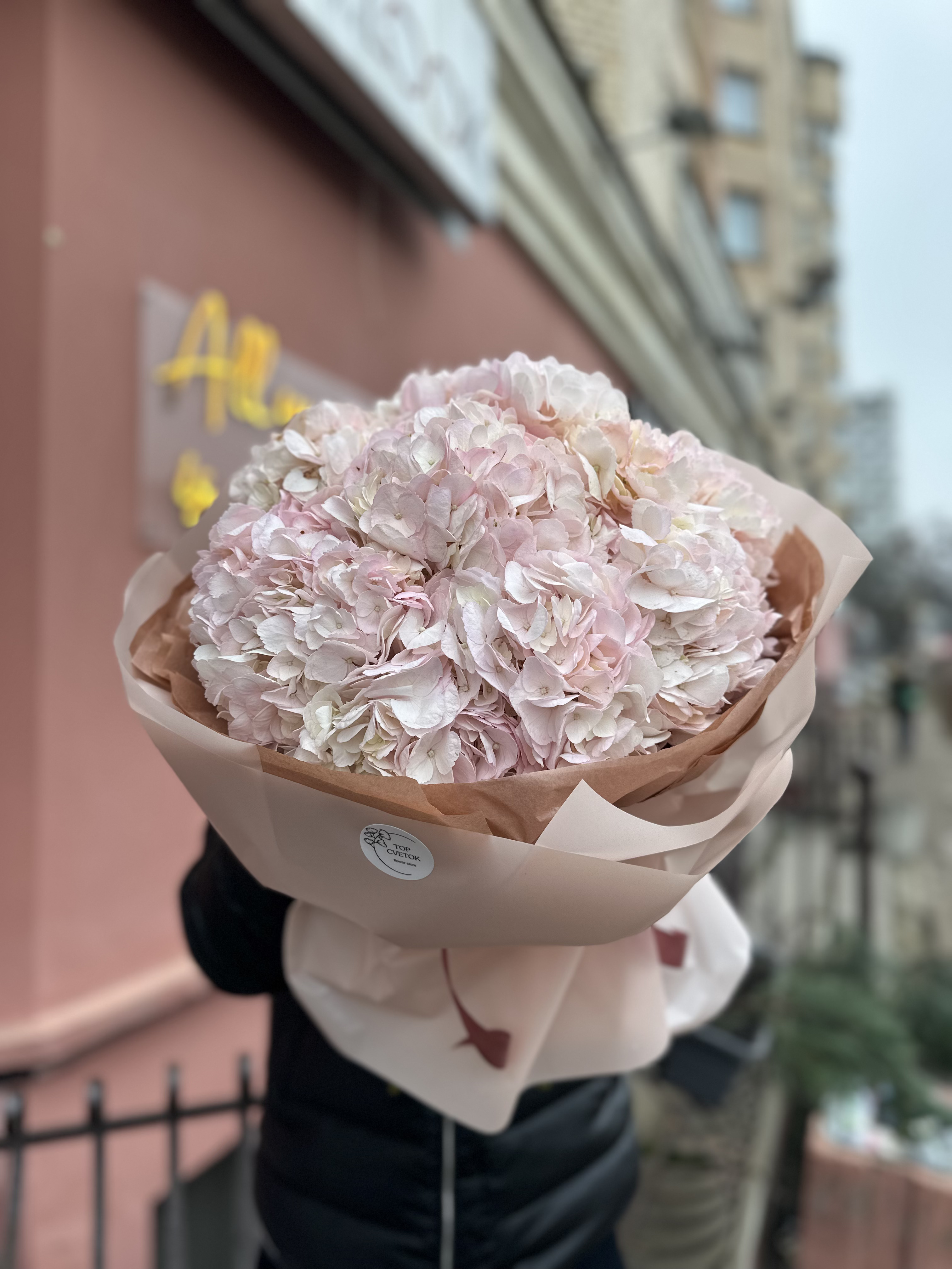 7 нежно-розовых гортензий