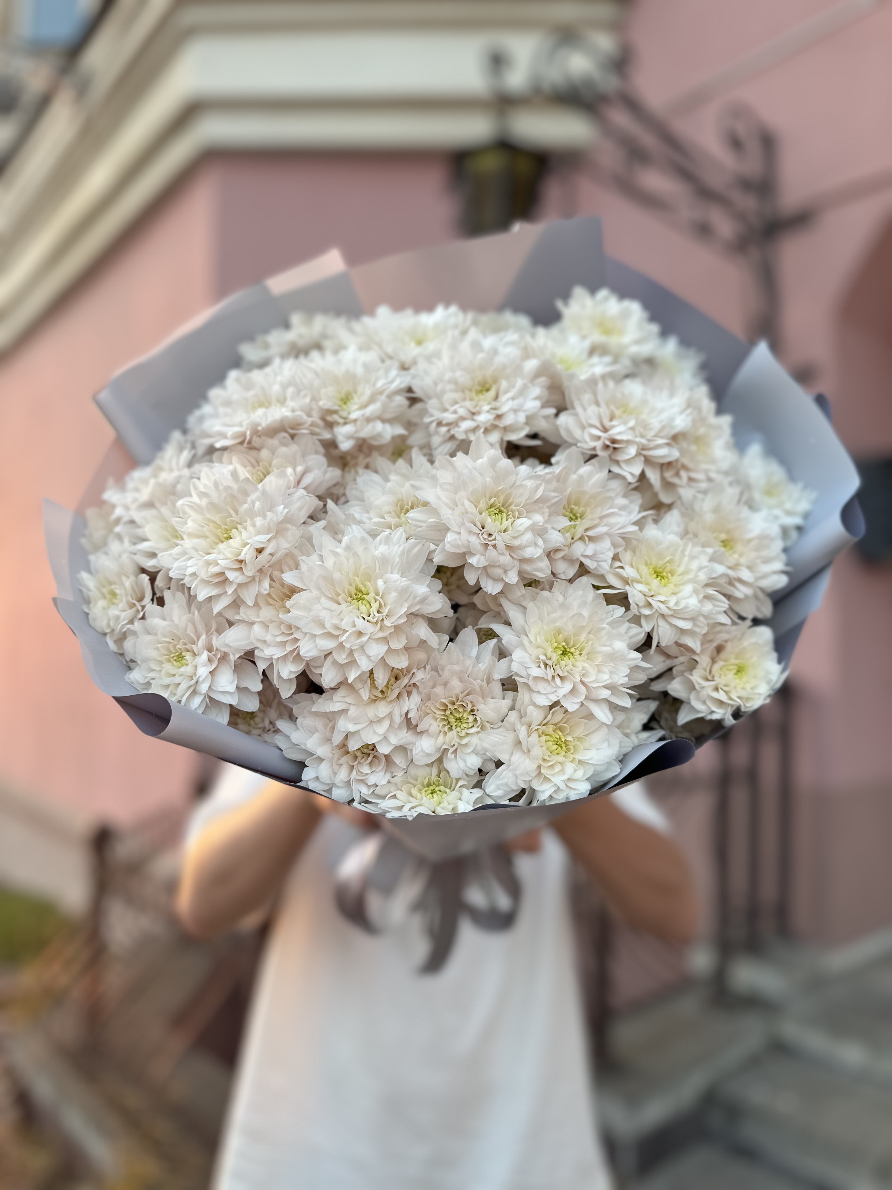 15 веток Хризантем Пастела Бланш