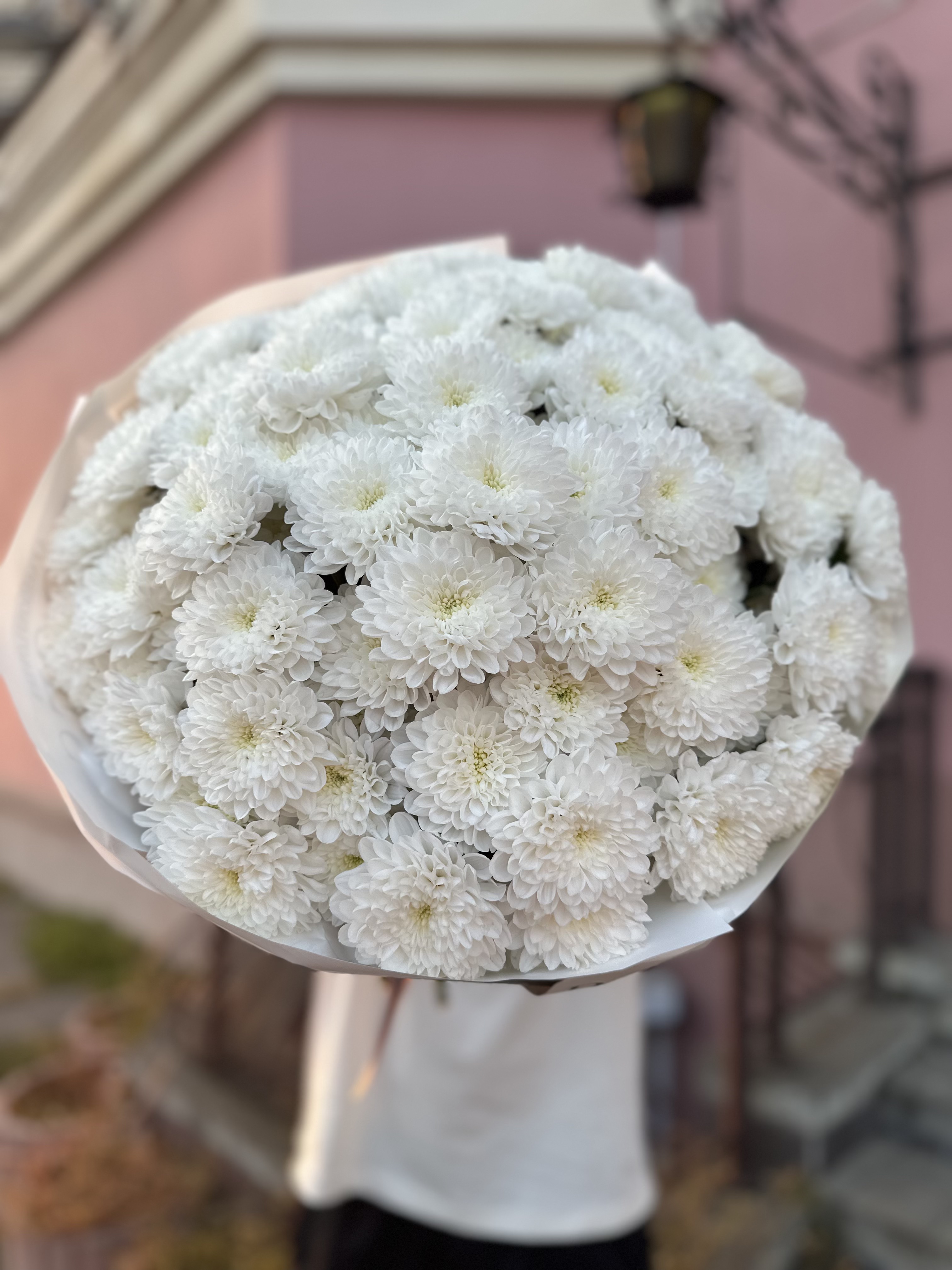 15 веток Хризантем Алтай