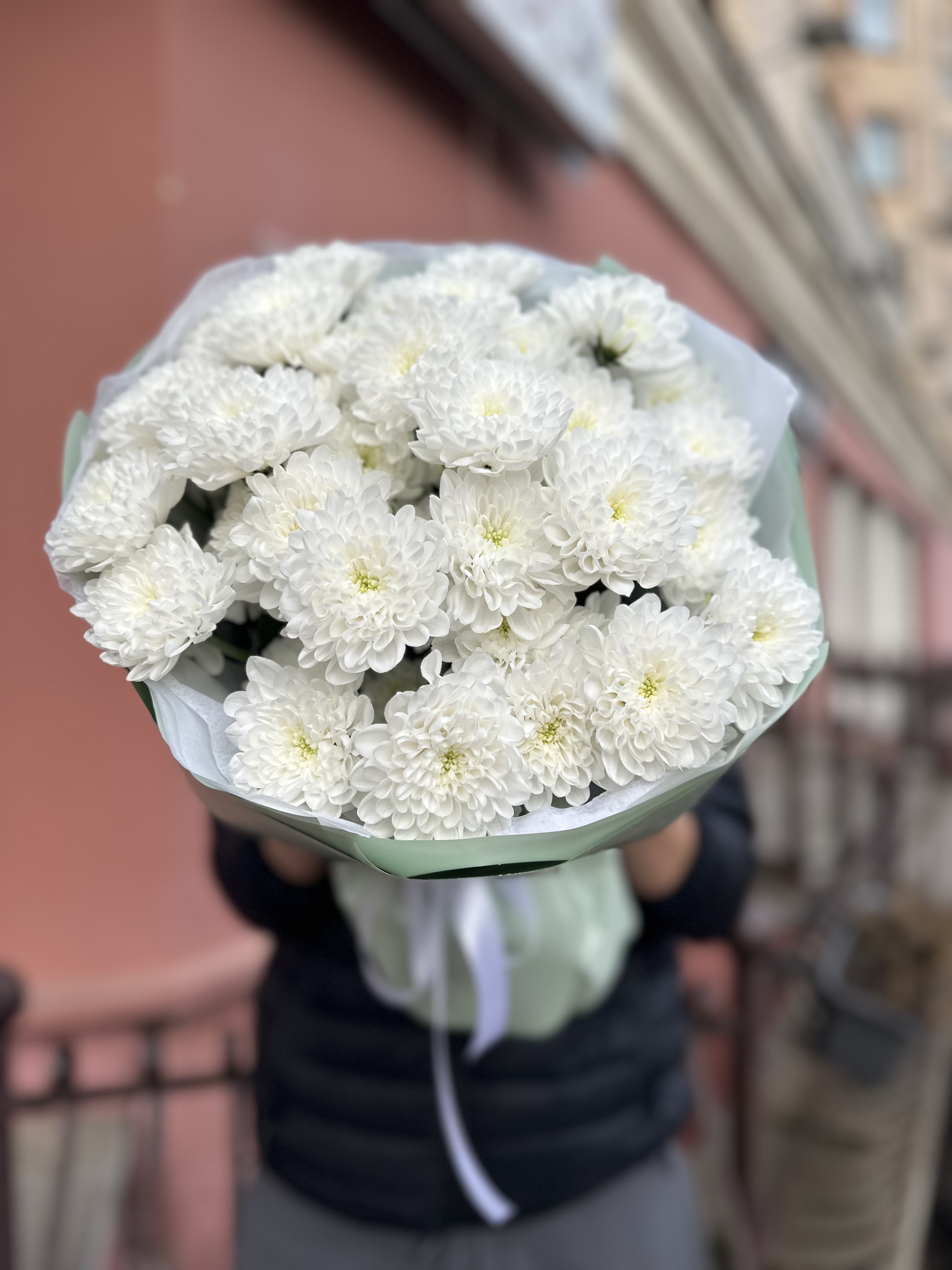 7 веток Хризантем Алтай