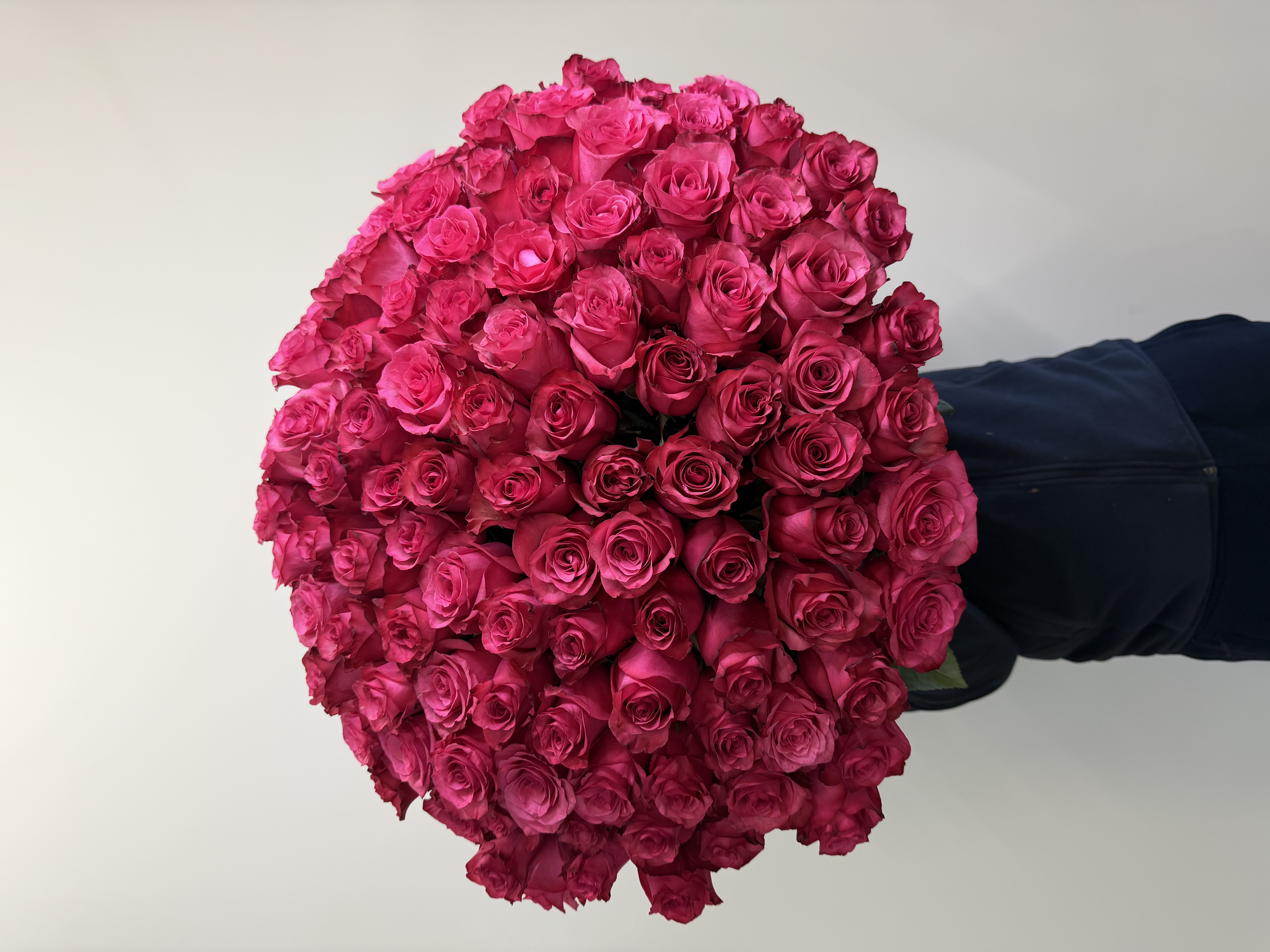 Малиновая роза Lola 101 шт.