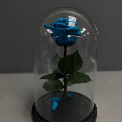 Синяя вечная роза в колбе