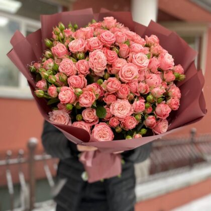 25 веток пионовидных кустовых роз Мадам Бамбастик