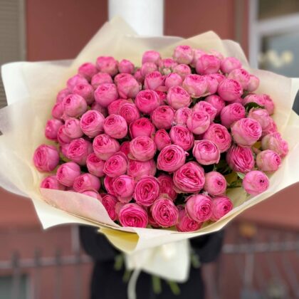 25 веток пионовидных кустовых роз Жизель